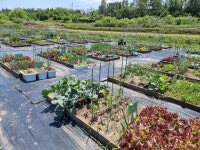 월성원자력본부, 주말농장 운영 원전 안전성 신뢰 확보 효과 `톡톡`