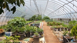 포항 개인자영 독림가 2호로 인정받은 이 시대 진정한 산림경영인 천인화씨