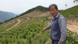 포항 개인자영 독림가 2호로 인정받은 이 시대 진정한 산림경영인 천인화씨