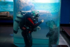 울진 죽변 해안스카이레일 내달 개장… 동해안 비경 한눈에 사로잡는다