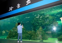 울진 죽변 해안스카이레일 내달 개장… 동해안 비경 한눈에 사로잡는다