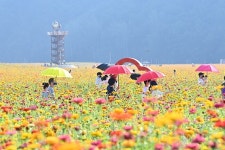 ˝얼쑤∼ 신명난다˝...청송정원 국악한마당 23일 열려
