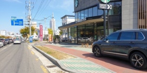 [카메라 고발] 포항 남구 상대동 가로수는 어디로?