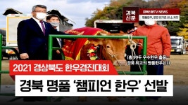 경상북도한우홍보판매관 | `2021 경상북도 한우경진대회` 개최..문경 이기준씨 소 차지 챔피언상 수상