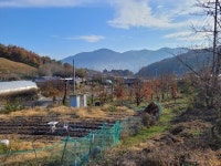 조정 선생의 뜻 깃든 오작당·용포 다락논 황금들판·존애원의 존심애물 정신이 살아있는 길을 만나보자