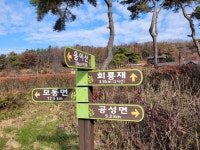 역사·자연이 살아있는 백두대간과 우곡 송량 선생의 우국충절 정신… 곶감·모동포도의 품격에 반하다
