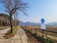 사벌의 너른 황금들판·지역 예술인의 요람… 한 폭의 산수화 같은 낙동강 풍경에 취하다