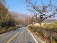 사벌의 너른 황금들판·지역 예술인의 요람… 한 폭의 산수화 같은 낙동강 풍경에 취하다