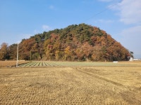 사벌의 너른 황금들판·지역 예술인의 요람… 한 폭의 산수화 같은 낙동강 풍경에 취하다
