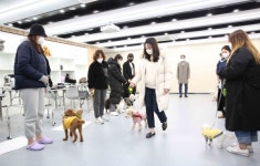 영진전문대 “우리집 댕댕이가 달라졌어요”