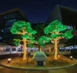 “희망의 불 밝히다”···달성군보건소, 야간 경관조명 설치