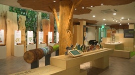 대구 달서별빛캠핑장, 목재문화관 개관