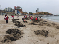 구룡포읍, 봄맞이 해안가 대청소 실시