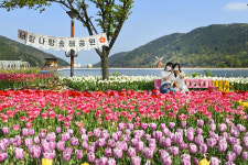 [포토] 달성군 송해공원 튤립 정원 형형색색