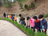 겨울철 포항시 도시미관 책임진 보리화분, 유아교육의 현장 속으로