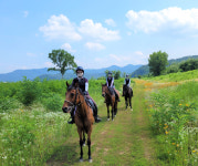 구미시 승마장,  전국승마대회 개최지로  우뚝