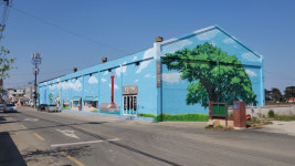 포항 청하시장 일대 아름다운 벽화, 관광객 눈길 사로잡는다!