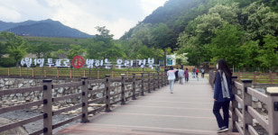 6월1일 투표로 밝히는 우리 경북 조형물 눈길