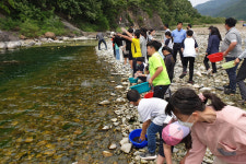 경주시, 산내면 동창천에 어린 다슬기 34만 마리 방류