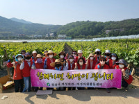 경산시 여성자원활동센터, 농촌 일손 돕기 나서