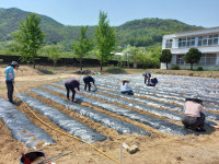 청도교육지원청, 자연과 함께하는 녹색교육 체험장 조성