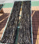 [동경주 구석구석 ⑧] 수렴항