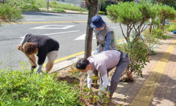 포항 장량동, 법원로 일원 청결하고 깨끗한 도심환경 조성
