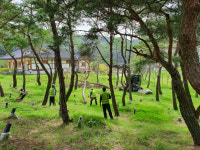 김천시설관리공단, 사명대사공원 고사목 제거