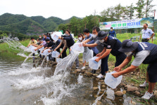 경북도, 영양 반변천서 토종 민물고기 치어 방류