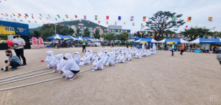 포항 송라면 화진리 전통 앉은 줄다리기 재현행사 열려