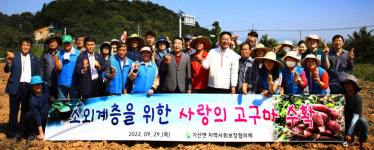 칠곡 기산면 지역사회보장협의체, 사랑의 고구마 수확