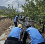 포항교육지원청 행정지원과 농가일손돕기 펼쳐
