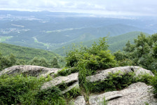 [동경주 구석구석] ⑭ 양남면 율포(진리마을)