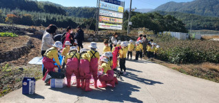 의성군 춘산면, 목화 체험 행사로 아이들의 웃음 소리 가득