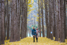 경주로 떠나는 화려한 외출...알록달록 가을 단풍 물결