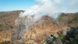 대구 수성구 무학산서 산불...잡풀 태우다 번져