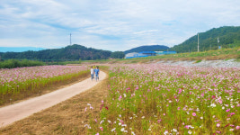 안동시, 하천사업 추진실적 평가 ‘대상’ 수상