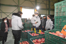 청송군 농산물공판장, 올해 첫 경매 열려