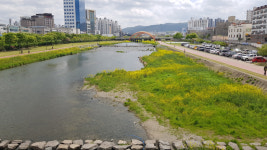 경산시, 남천 하상내 퇴적토 정비...재해예방 및 도시미관 개선