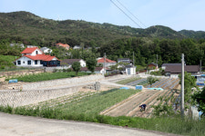 [기획특집] 살기 좋은 경북 ① 경주시 외동읍 괘릉리