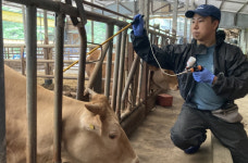 포항시, 지역 내 구제역 유입 차단을 위해 총력 기울인다!