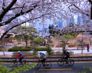 제2회 포항그린웨이 사진공모전 수상자 발표...대상 윤기창 철길숲의 봄’