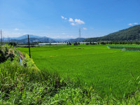 상주문화예술회관 이전으로 날린 8억...시장이 책임져야