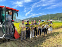 성주군 첫 벼베기, 용암에서 시작되다