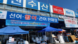 대구도매시장, 21~27일 수산물 소비촉진 행사 개최