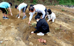 [기획특집] 행복한 작은학교 ⑲ 경주시 사방초등학교