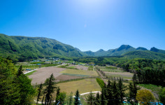 [기획특집] 아름다운 경북 (22) 울릉군 북면 천부리