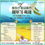 포항 기계 봉좌마을 앞 황금 들판에서 메뚜기축제 열린다