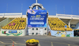 영천시 체육시설사업소, 가을맞이 국화로 꽃단장