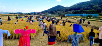 포항 기계면 봉좌마을 메뚜기축제 대박났다